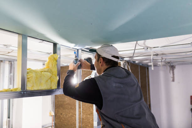 Best Insulation for Specific Applications in Scotia, NY