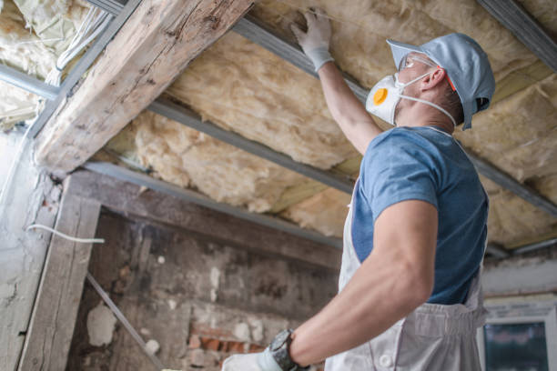 Best Geographic-Specific Insulation Services in Scotia, NY