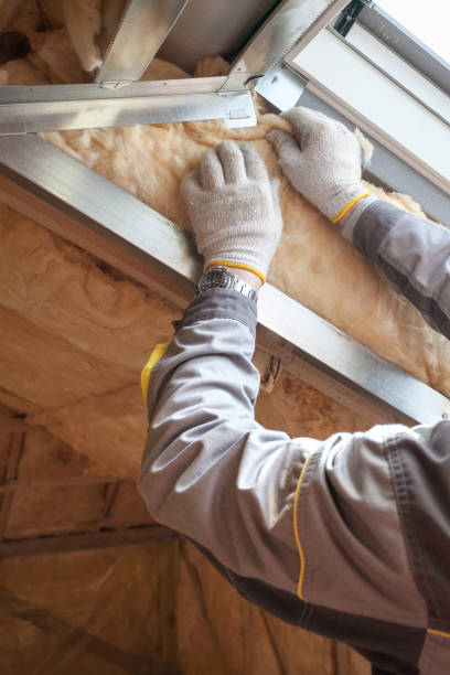 Best Cellulose Insulation in Scotia, NY